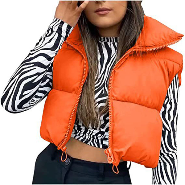 Veste Courte d’Hiver Sans Manches – Élégance et Style Britannique