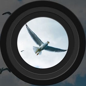 TerraSight – Long-Range Night Vision Binoculars